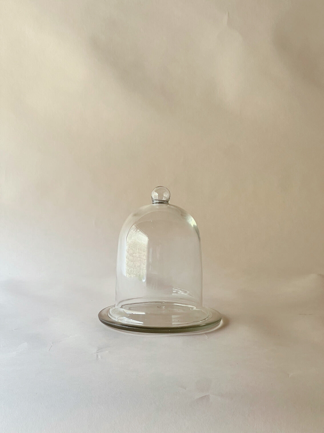 Small glass cloche