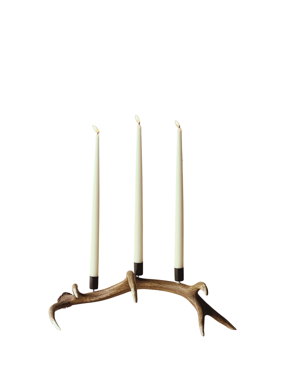 Antler candle holder