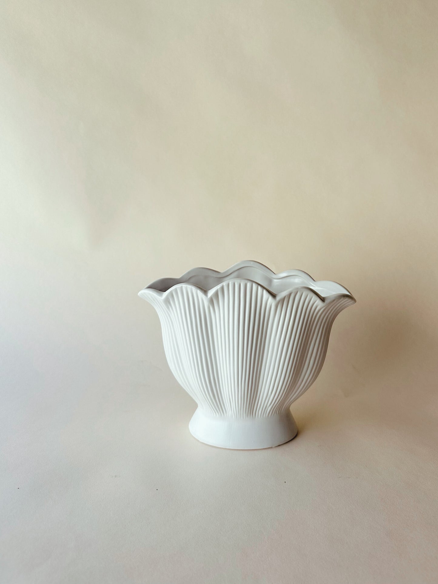 White ceramic shell vases