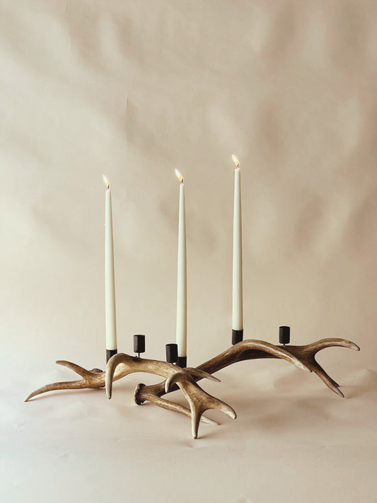Antler candle holder