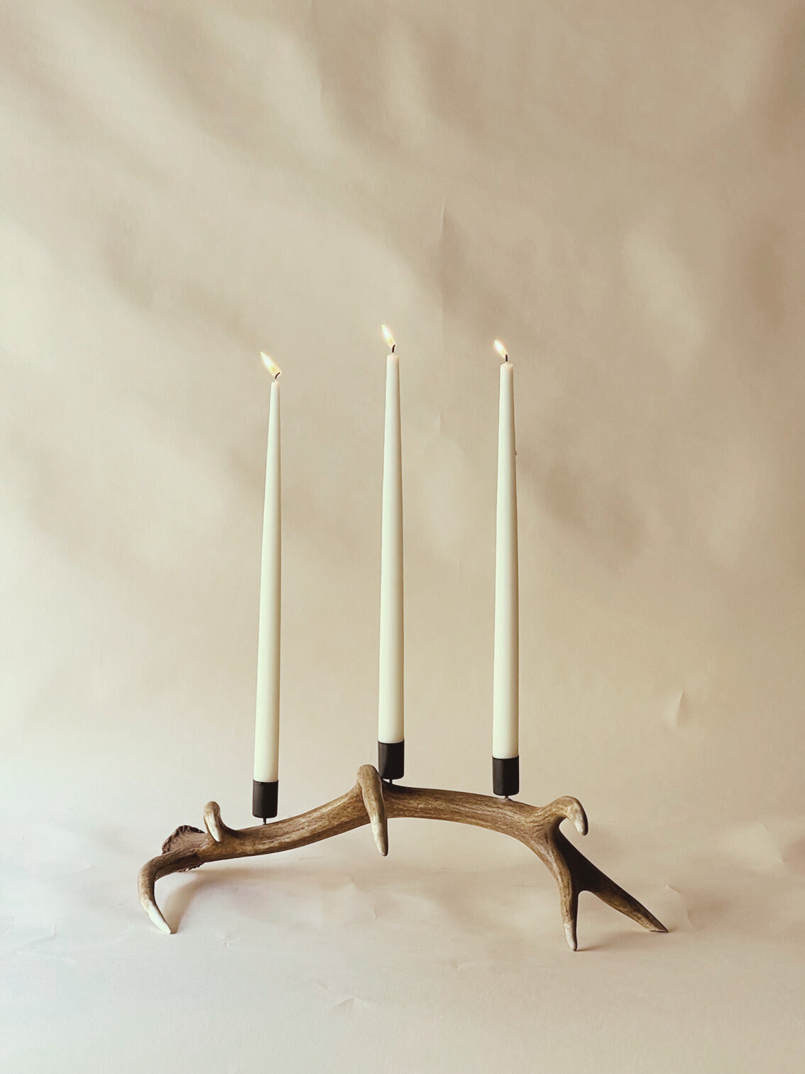 Antler candle holder
