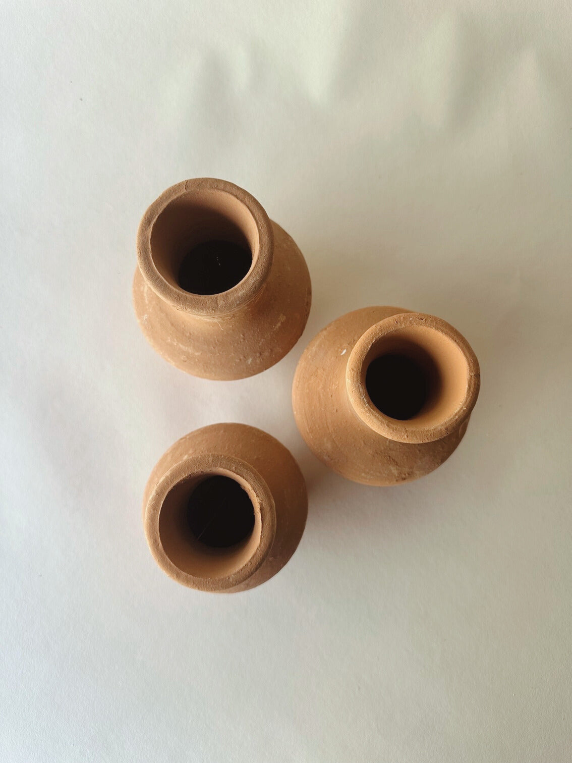 Terracotta meadow buds
