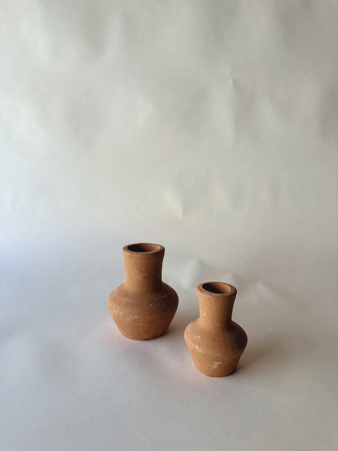 Terracotta meadow buds