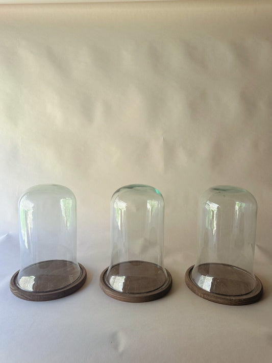 Glass dome