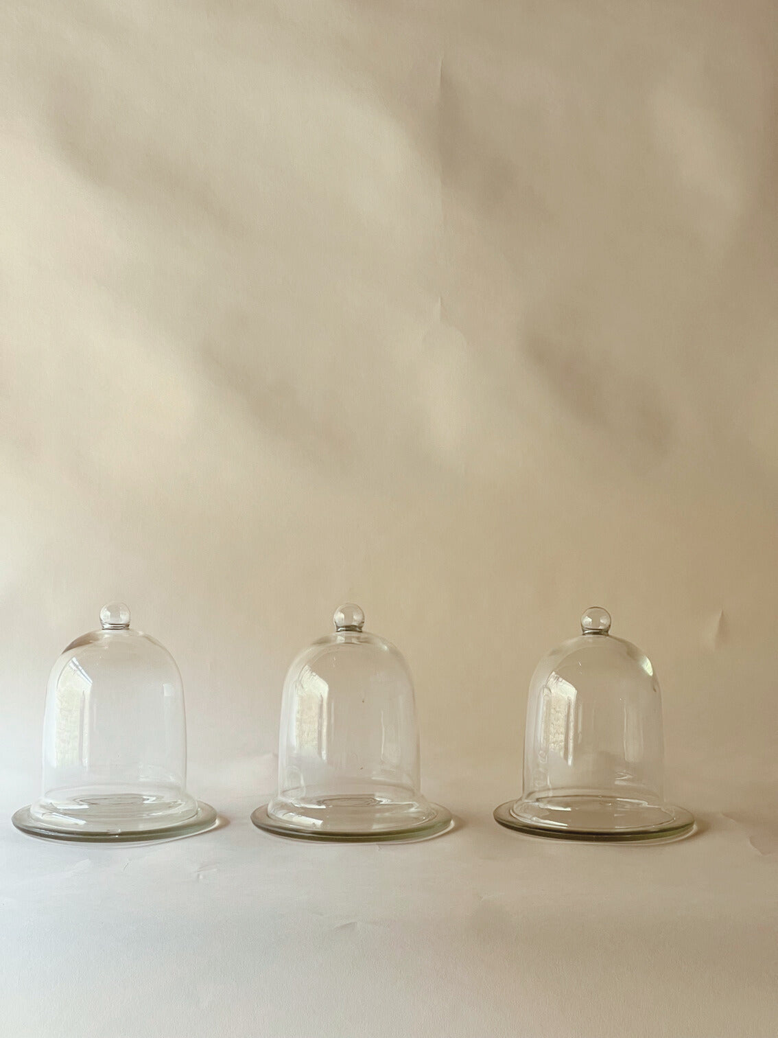 Small glass cloche
