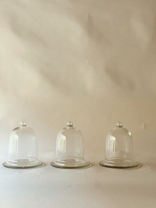Small glass cloche